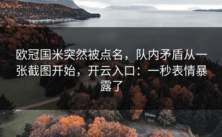 欧冠国米突然被点名，队内矛盾从一张截图开始，开云入口：一秒表情暴露了
